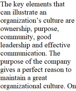 Organizational Culture